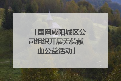 国网咸阳城区公司组织开展无偿献血公益活动