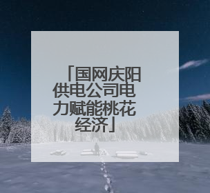 国网庆阳供电公司电力赋能桃花经济
