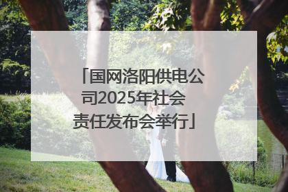 国网洛阳供电公司2025年社会责任发布会举行