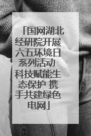 国网湖北经研院开展六五环境日系列活动 科技赋能生态保护 携手共建绿色电网