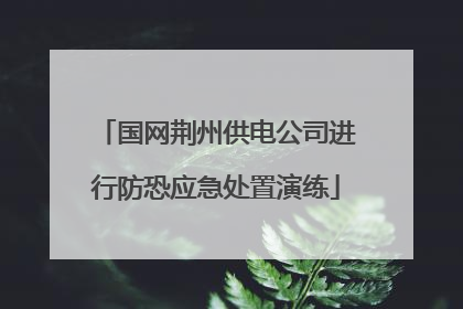 国网荆州供电公司进行防恐应急处置演练