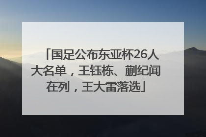 国足公布东亚杯26人大名单，王钰栋、蒯纪闻在列，王大雷落选