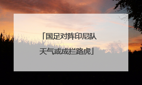 国足对阵印尼队 天气或成拦路虎