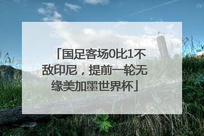 国足客场0比1不敌印尼，提前一轮无缘美加墨世界杯