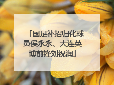 国足补招归化球员侯永永、大连英博前锋刘祝润