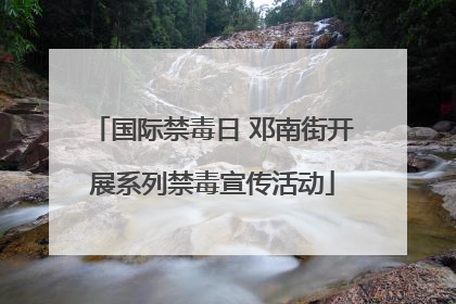 国际禁毒日 邓南街开展系列禁毒宣传活动