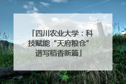 四川农业大学：科技赋能“天府粮仓”谱写稻香新篇