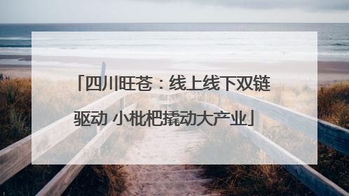 四川旺苍：线上线下双链驱动 小枇杷撬动大产业