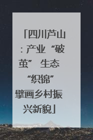 四川芦山：产业“破茧” 生态“织锦” 擘画乡村振兴新貌