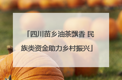 四川苗乡油茶飘香 民族类资金助力乡村振兴