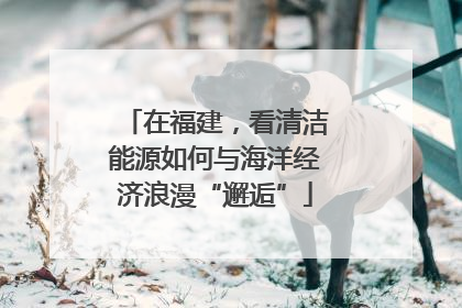 在福建，看清洁能源如何与海洋经济浪漫“邂逅”
