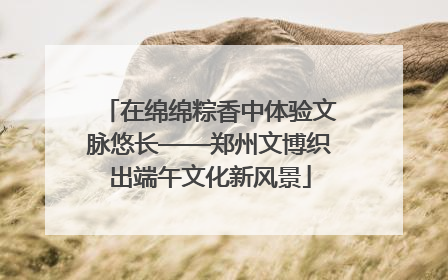 在绵绵粽香中体验文脉悠长——郑州文博织出端午文化新风景