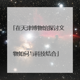 在天津博物馆探讨文物如何与科技结合