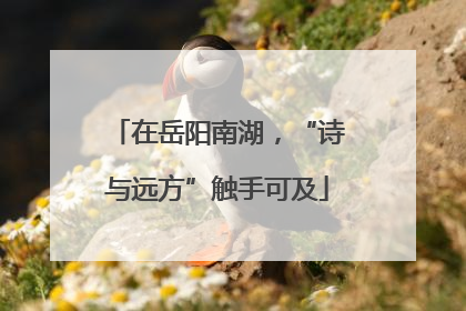 在岳阳南湖，“诗与远方”触手可及