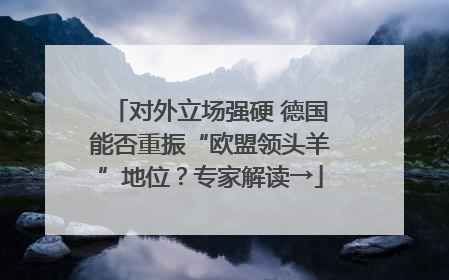 对外立场强硬 德国能否重振“欧盟领头羊”地位？专家解读→