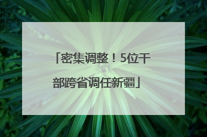 密集调整！5位干部跨省调任新疆