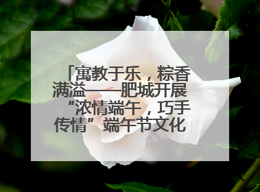 寓教于乐，粽香满溢——肥城开展“浓情端午，巧手传情”端午节文化主题活动