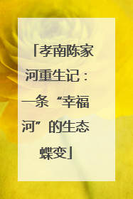 孝南陈家河重生记：一条“幸福河”的生态蝶变