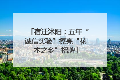 宿迁沭阳：五年“诚信实验”擦亮“花木之乡”招牌