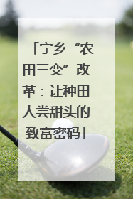 宁乡“农田三变”改革：让种田人尝甜头的致富密码
