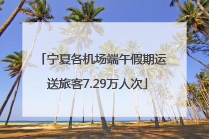 宁夏各机场端午假期运送旅客7.29万人次