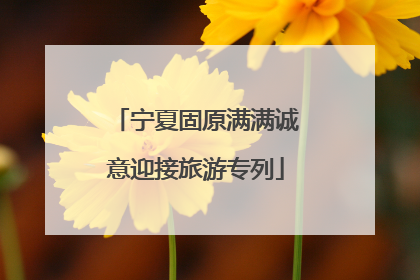 宁夏固原满满诚意迎接旅游专列
