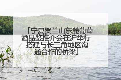 宁夏贺兰山东麓葡萄酒品鉴推介会在沪举行 搭建与长三角地区沟通合作的桥梁