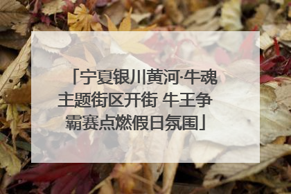 宁夏银川黄河·牛魂主题街区开街 牛王争霸赛点燃假日氛围