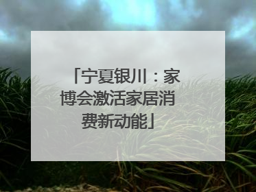 宁夏银川：家博会激活家居消费新动能