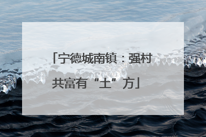 宁德城南镇：强村共富有“土”方