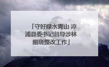 守好绿水青山 漳浦县委书记督导涉林图斑整改工作