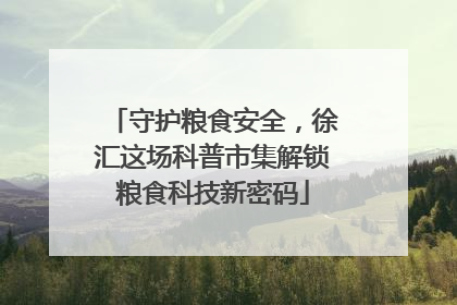 守护粮食安全，徐汇这场科普市集解锁粮食科技新密码