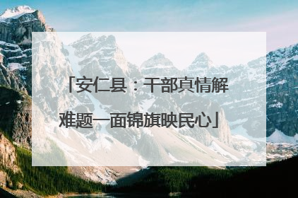 安仁县：干部真情解难题一面锦旗映民心