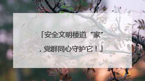 安全文明楼道“家”，党群同心守护它！
