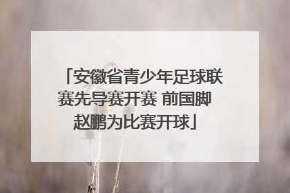 安徽省青少年足球联赛先导赛开赛 前国脚赵鹏为比赛开球
