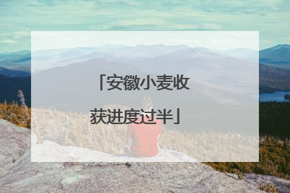 安徽小麦收获进度过半
