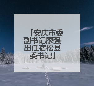安庆市委副书记廖强出任宿松县委书记