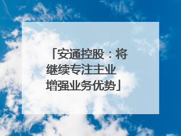 安通控股：将继续专注主业 增强业务优势