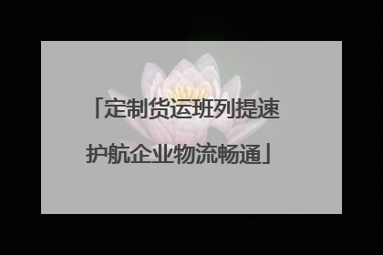 定制货运班列提速 护航企业物流畅通