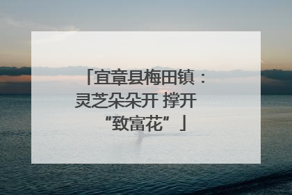 宜章县梅田镇：灵芝朵朵开 撑开“致富花”