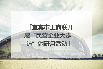 宜宾市工商联开展“民营企业大走访”调研月活动