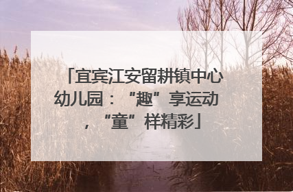 宜宾江安留耕镇中心幼儿园：“趣”享运动，“童”样精彩