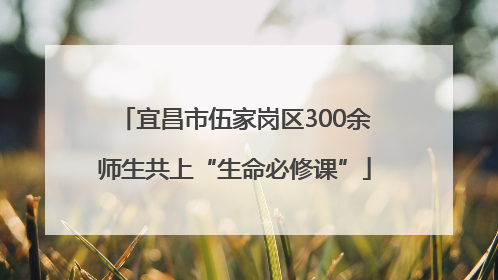 宜昌市伍家岗区300余师生共上“生命必修课”