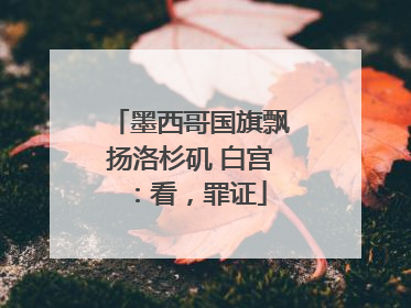 墨西哥国旗飘扬洛杉矶 白宫：看，罪证
