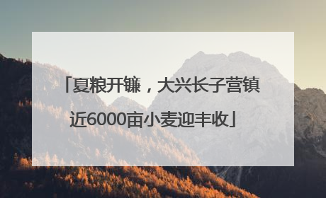夏粮开镰，大兴长子营镇近6000亩小麦迎丰收