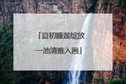 夏初睡莲绽放 一池清雅入画