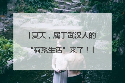 夏天，属于武汉人的“荷系生活”来了！