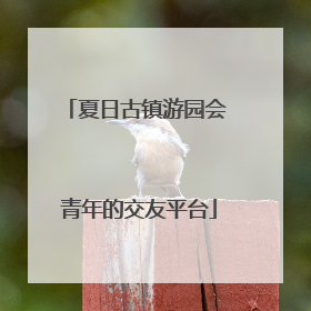 夏日古镇游园会 青年的交友平台