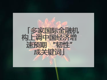 多家国际金融机构上调中国经济增速预期 “韧性”成关键词