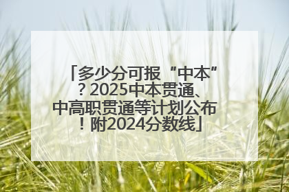 多少分可报“中本”？2025中本贯通、中高职贯通等计划公布！附2024分数线